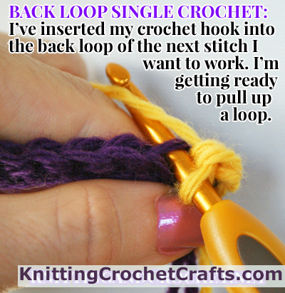Wondering what it means when your pattern says to crochet in the back loops only? Here's a picture showing you my crochet hook inserted into the back loop of the next stitch to be worked. I'm working a single crochet stitch through the back loops, otherwise known as back loop single crochet stitch.