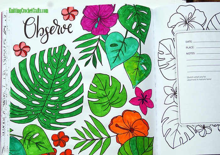 A Coloring Page From The Colors of Nature Book Featuring Tropical Flowers and Plants -- Illustratlion by Lindsay Hopkins, published by Leisure Arts