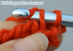 Wrap the yarn around your crochet hook...