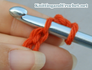 Tunisian Crochet First Row: Insert your crochet hook into the next chain. You can work into the back bumps of the chains as shown here, or you can work into the top loops.