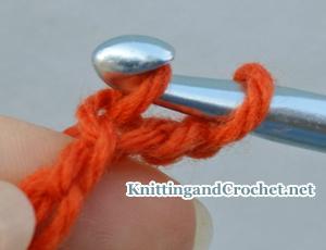 Pull up a loop by grabbing the wrapped yarn with your crochet hook and drawing it through the chain stitch.