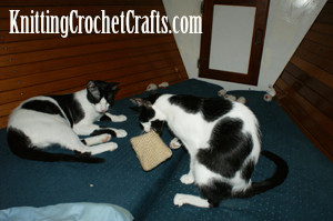 Cute Cats Playing With Crochet Pouch