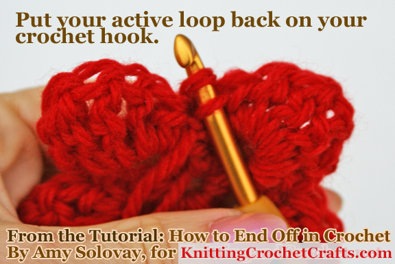 Put your active loop back on your crochet hook.