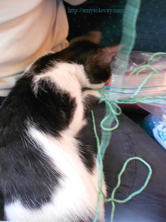Ginger says, "I don't care about crochet, Mommy. I just want YARN!"