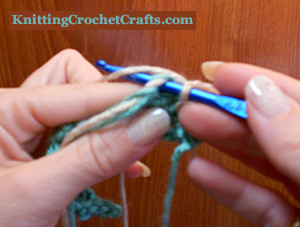 Working a Single Crochet Stitch Overtop of the Woven-In Ends