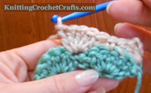 Crochet Shell Stitch, Row 2 Work in Progress