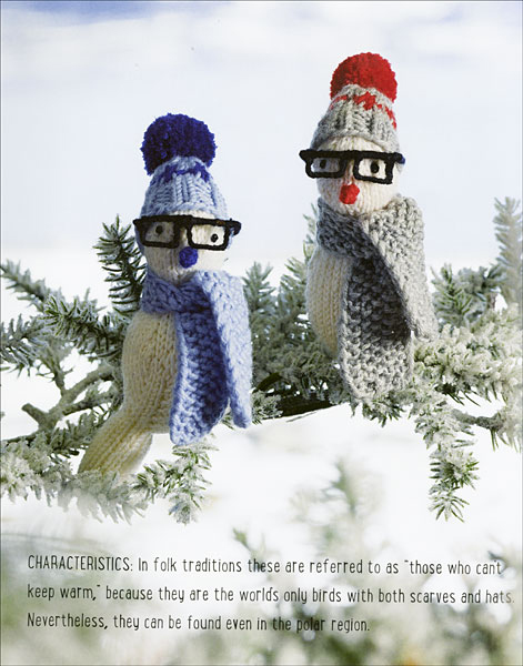 Cute accessories  for knitted birds -- hats, scarves and glasses. You'll find instructions for making these items in the Field Guide to Knitted Birds by Arne & Carlos, Published by Trafalgar Square Books. 