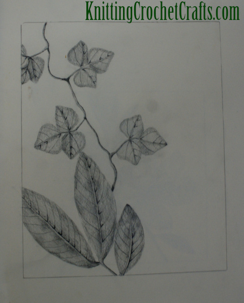 Botanical Illustration With Leaves by Amy Solovay -- Graphite, Spring 2000
