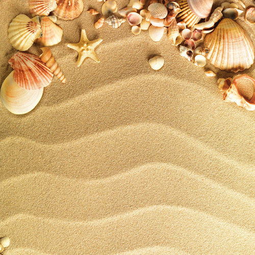 Sea Shells and Sand Beach Themed Patterned Paper for Scrapbooking