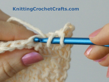 Insert your crochet hook into spot where you want to work your double crochet stitch.