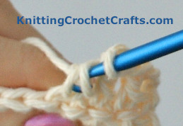 Grab the yarn with your crochet hook and pull it through two of the loops on your hook