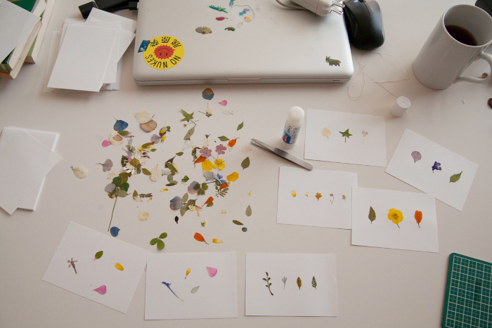 Dried flowers and cards at an Oshibana (dried flower art) workshop in Osaka, Japan