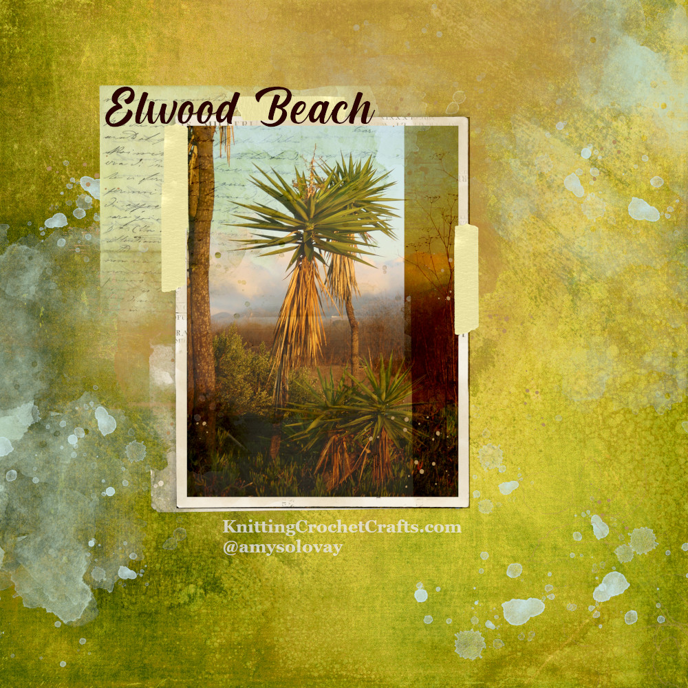 Digital Scrapbooking Layout Featuring Elwood Beach Palm Tree
