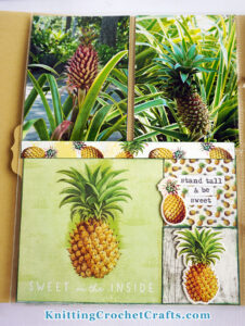 6x8 Scrapbooking Layout Featuring Hawaiian Pineapples