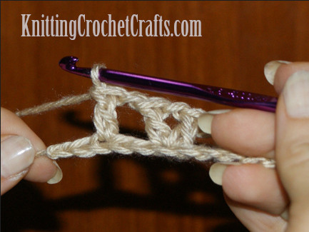 When you get to the end of the row, you'll work a chain stitch, and then after that you'll work one double crochet stitch into each of the last two stitches.
