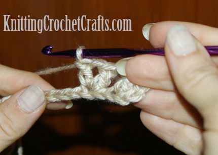 Work another double crochet stitch into the same stitch where you worked the last one. One v stitch is completed.