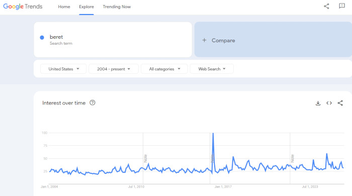 Beret Hat Searches in the USA